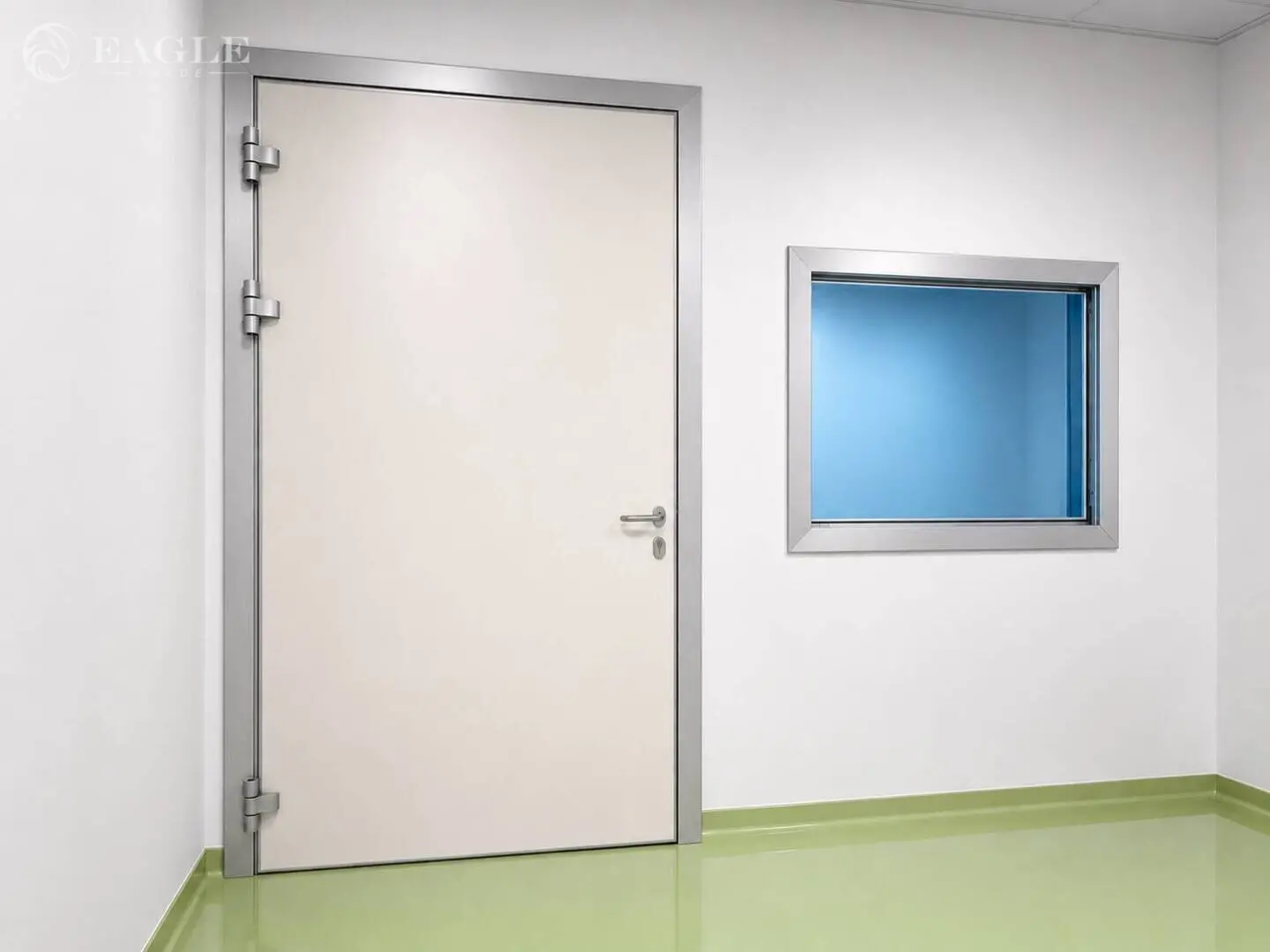 x-ray-staklo-i-vrata